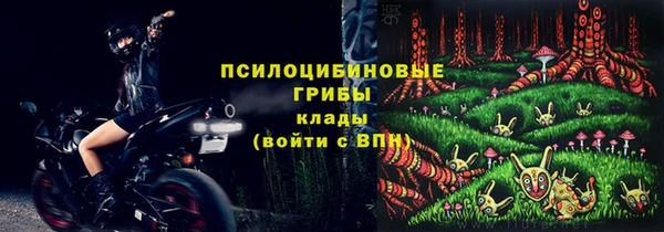 дживик Вязники