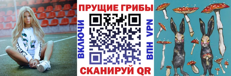 где купить наркоту  Петровск-Забайкальский  Псилоцибиновые грибы мухоморы 